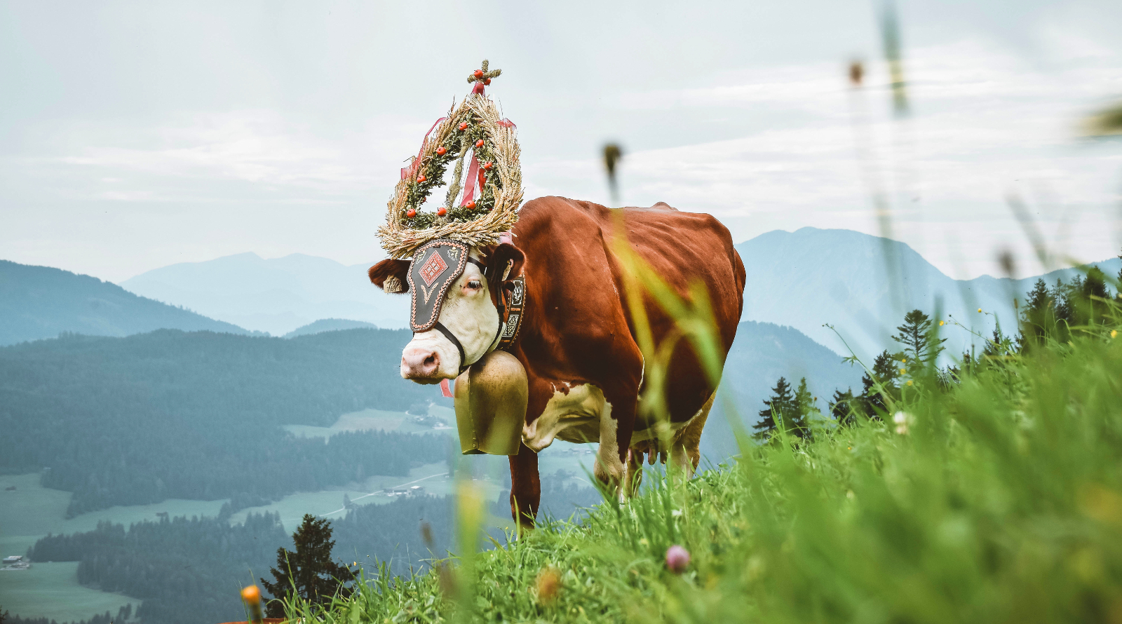 Kultura i tradycja – najciekawsze imprezy w Tyrolu w 2019 roku